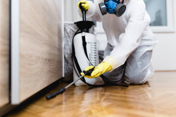 Best Flea Control Services  in Princeton, MO