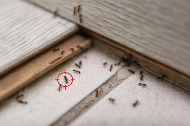 Princeton, MO Pest Control Company