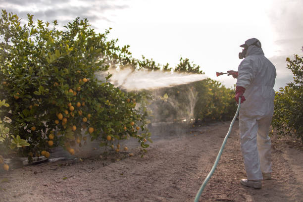 Best Local Pest Control Services  in Princeton, MO