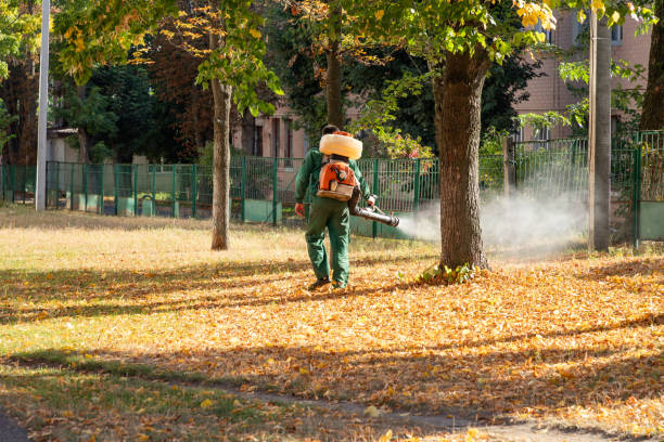 Best Mosquito Control Services  in Princeton, MO