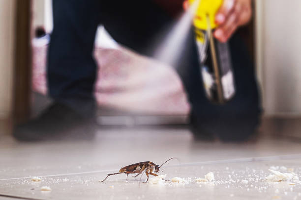 Best Mosquito Control Services  in Princeton, MO