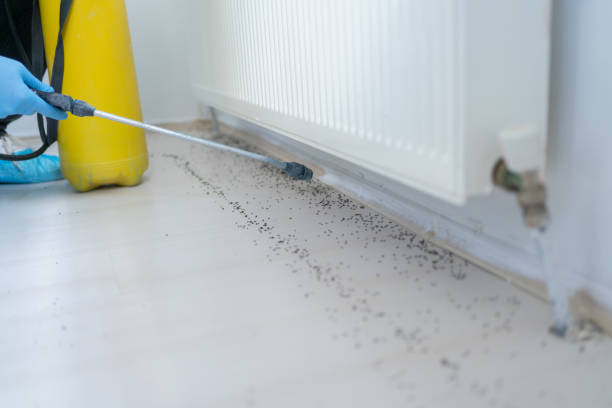 Best Pest Prevention Services  in Princeton, MO