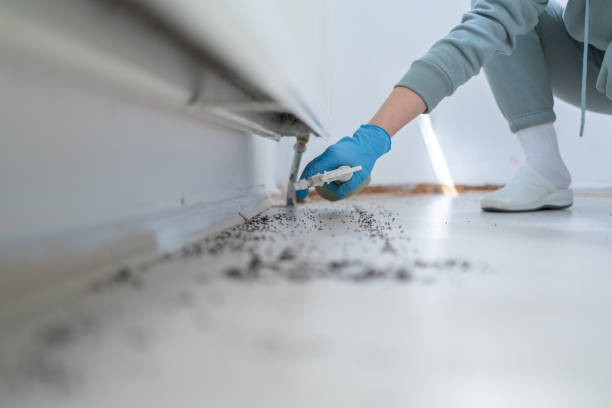 Best Emergency Pest Control  in Princeton, MO